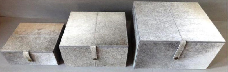 Grey Hair on Squire Box